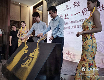 【尊龙凯时人生就是搏·雍龙府】万象城旁，6米层高叠墅验资首日人气完爆世界杯开幕式。。 